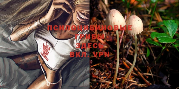 марки lsd Балабаново