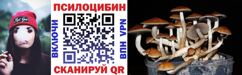 Псилоцибиновые грибы мицелий Озёры