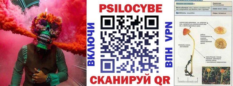 Псилоцибиновые грибы Cubensis  Озёры 